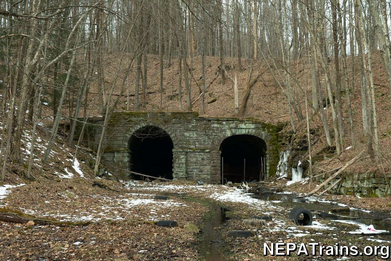 Max Loiacono - All rights reserved